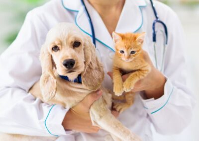 Free Puppy and Kitten Health Check
