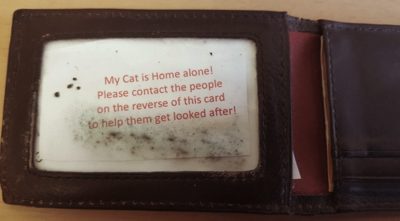 Pets at home – What would happen to them if something should happen to us